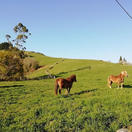 Agroturismo Pagoederraga Orio Bagian luar foto